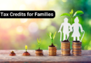 Tap Tax Credits for Families and How to Qualify for Them